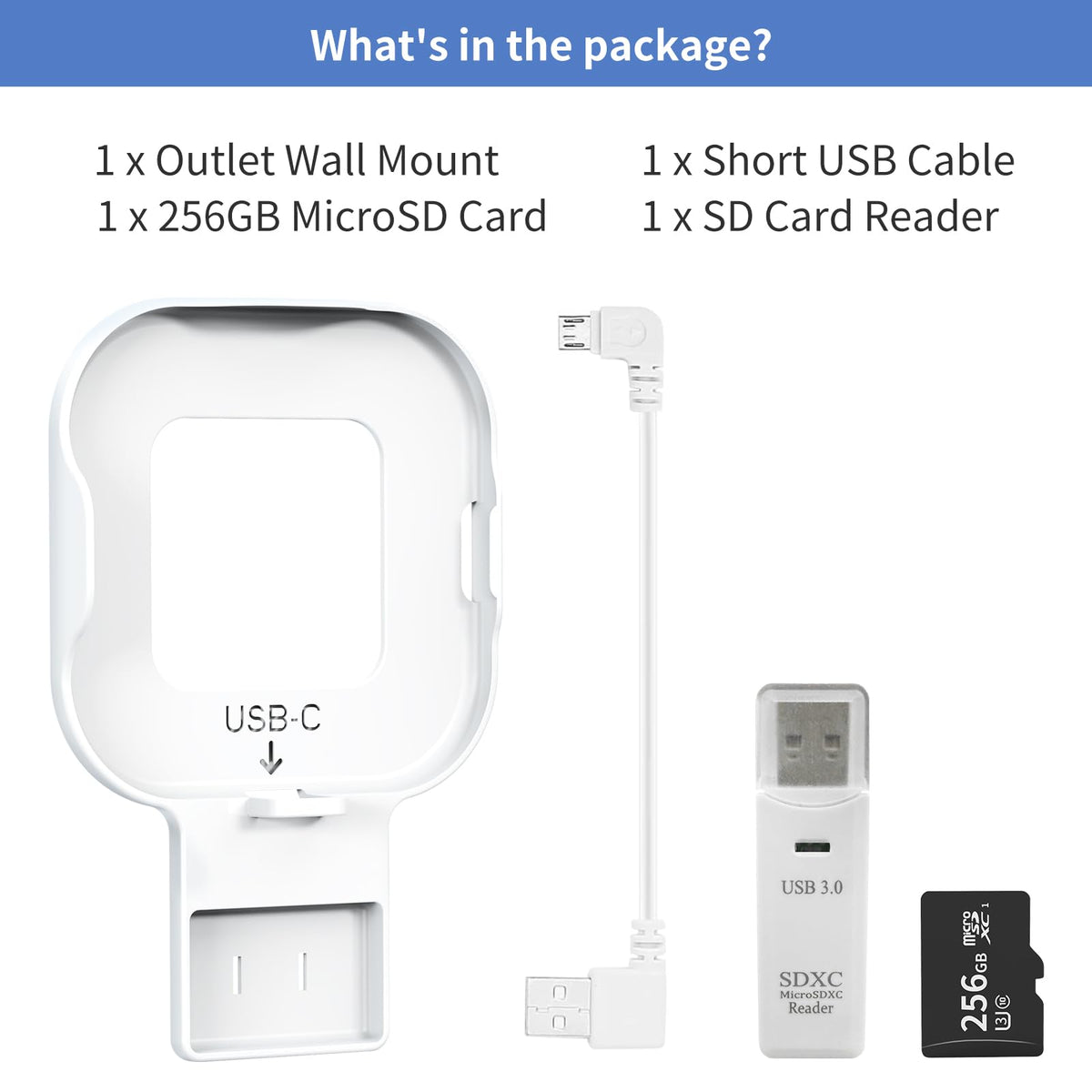 256GB MicroSD Card and Wall Mount with USB-C Cable O1208