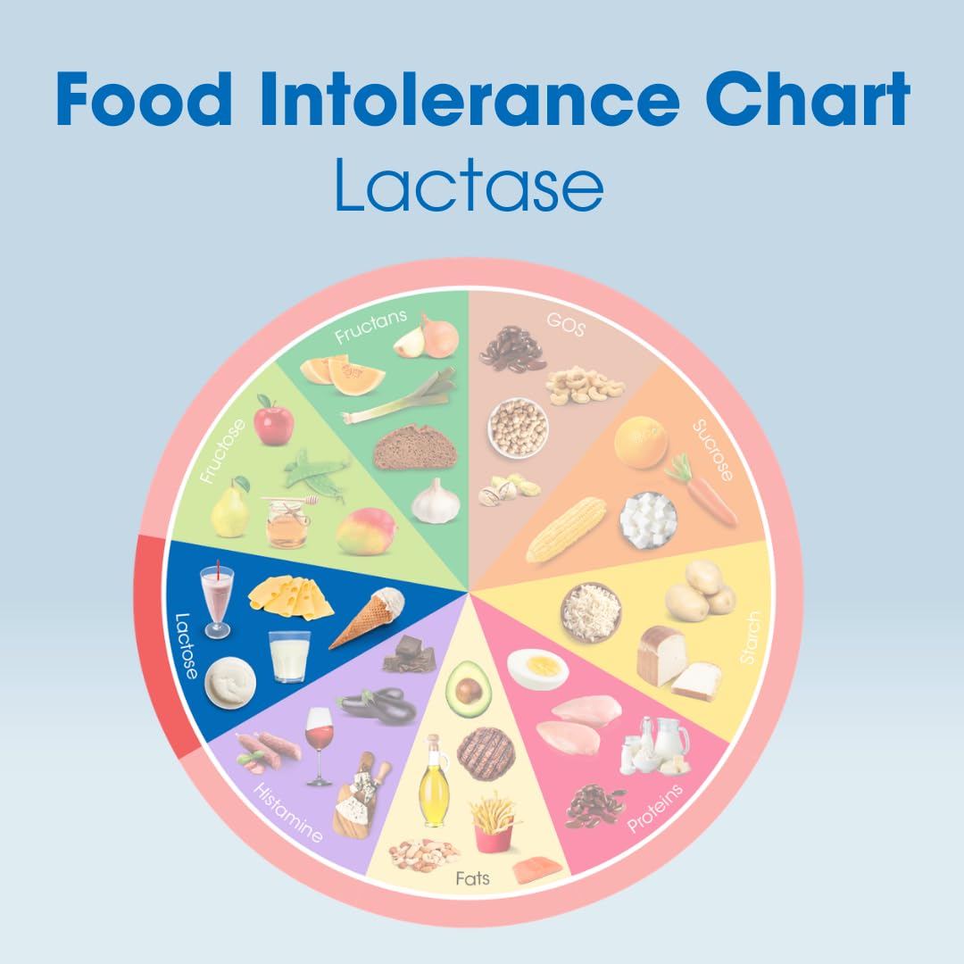Lactase Digestive Enzymes 50 Scored Tablets I564569