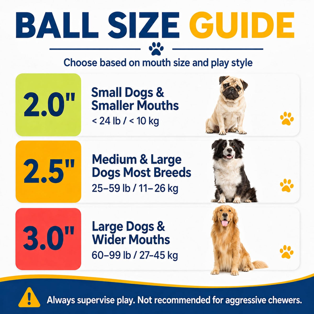 12 Pack Colorful Dog Toy Balls S881624