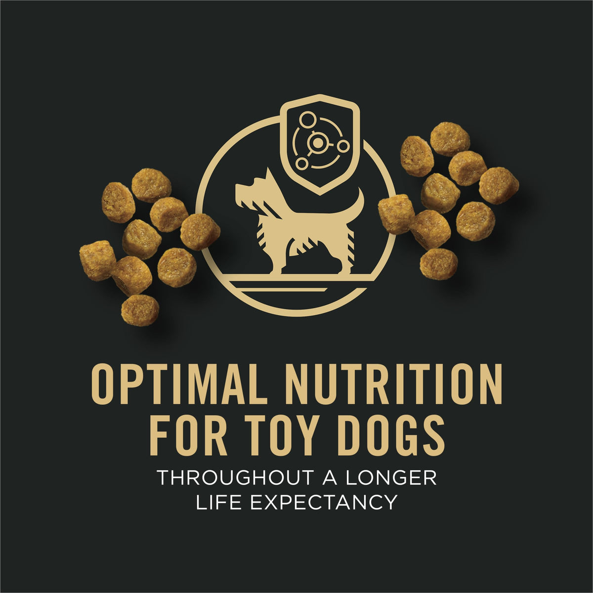 Chicken & Rice Dry Dog Food 5 lb Bag J101930