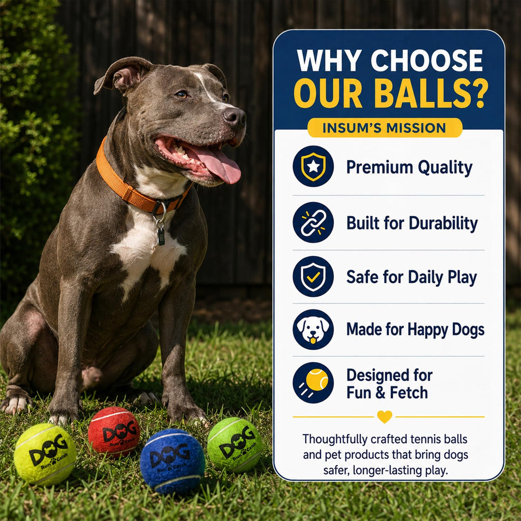 12 Pack Colorful Dog Toy Balls S881624