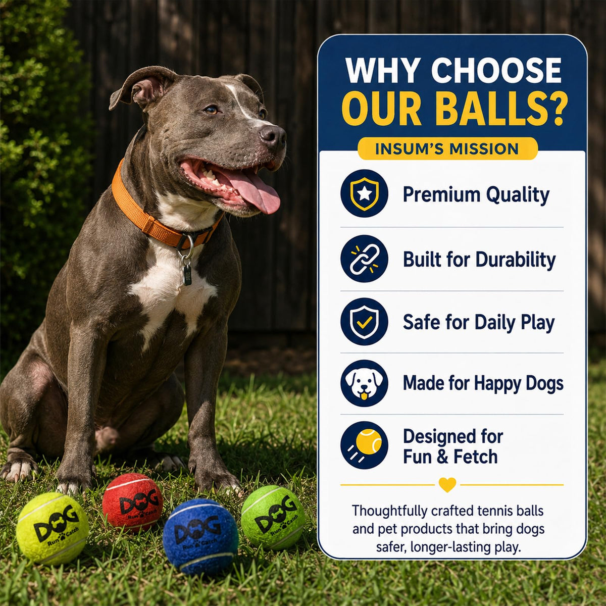 12 Pack Colorful Dog Toy Balls S881624