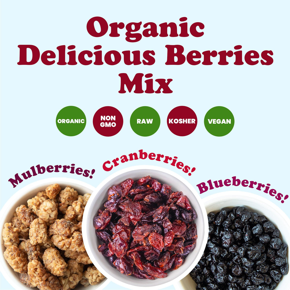 Organic Dried Berries Mix, 8 Ounces J980